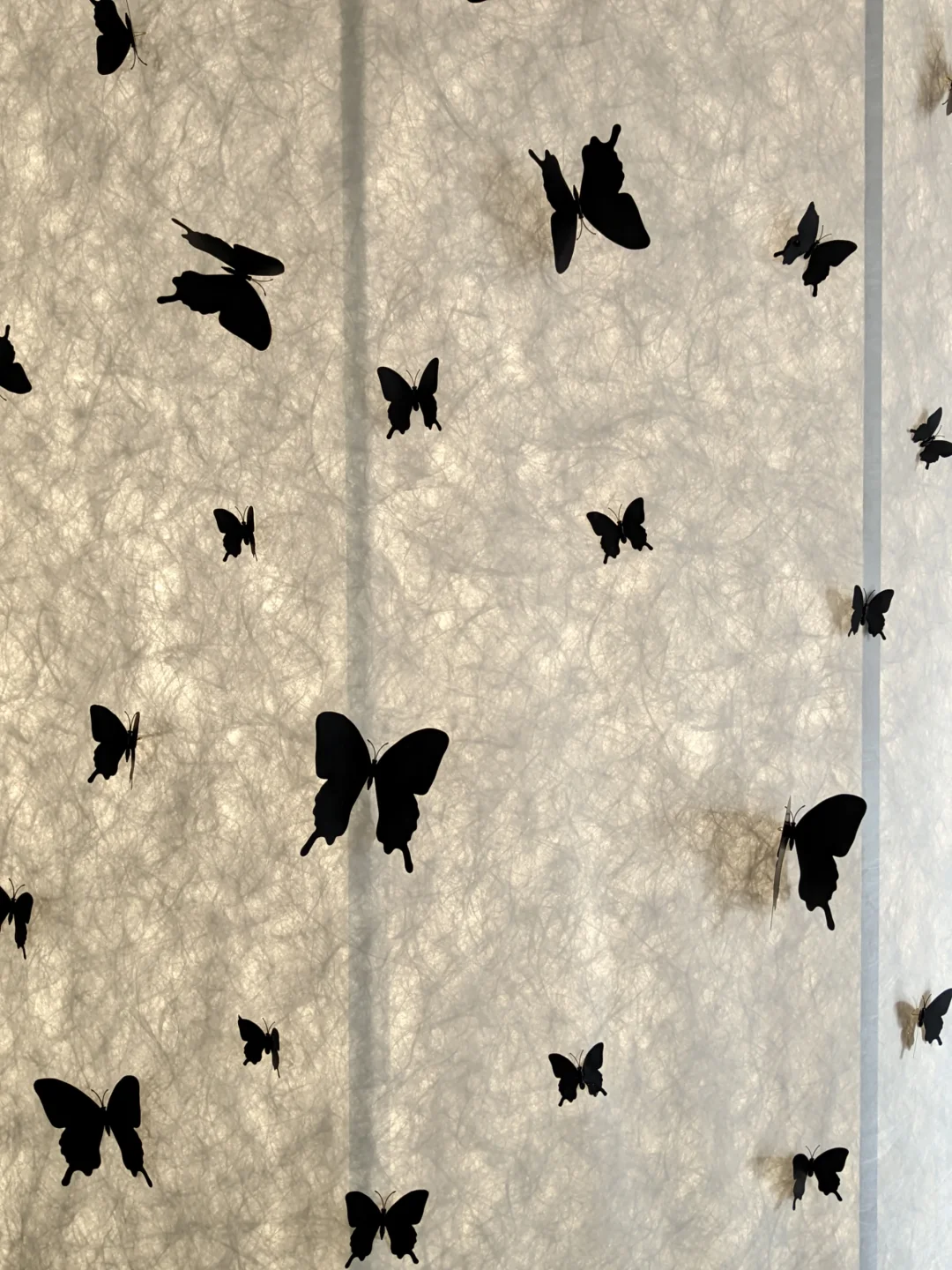 ?重庆高效逛展｜解锁重力封印〰️