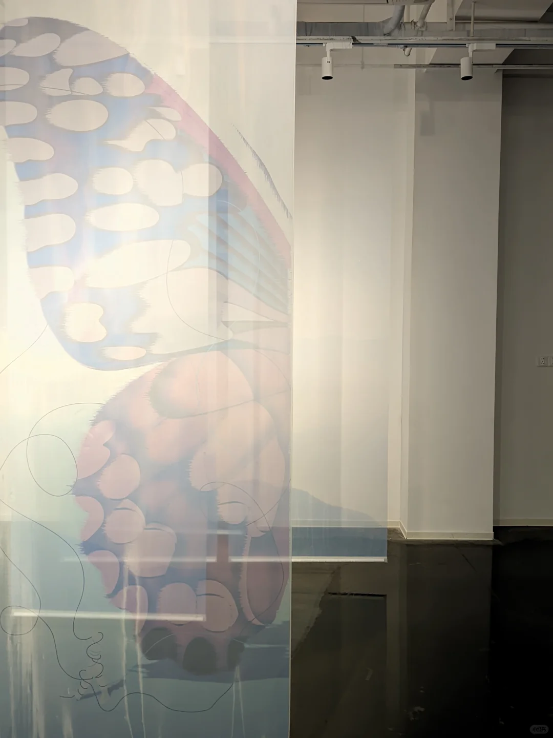 ?重庆高效逛展｜解锁重力封印〰️