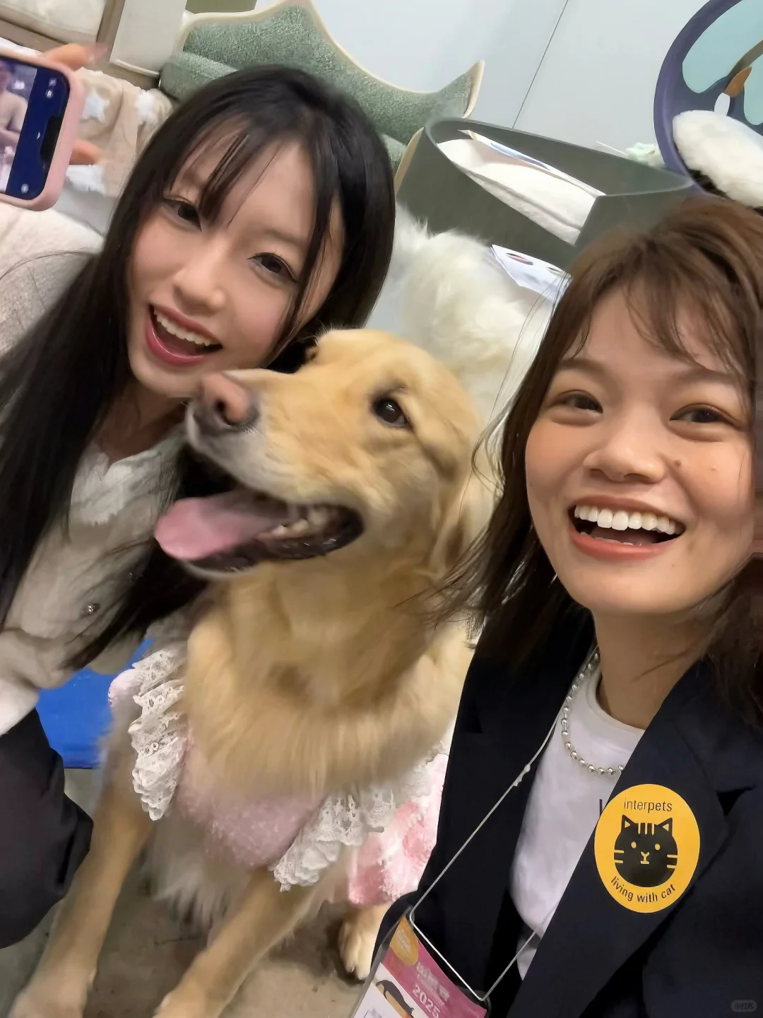 ??宠物展day4 展会翻译?