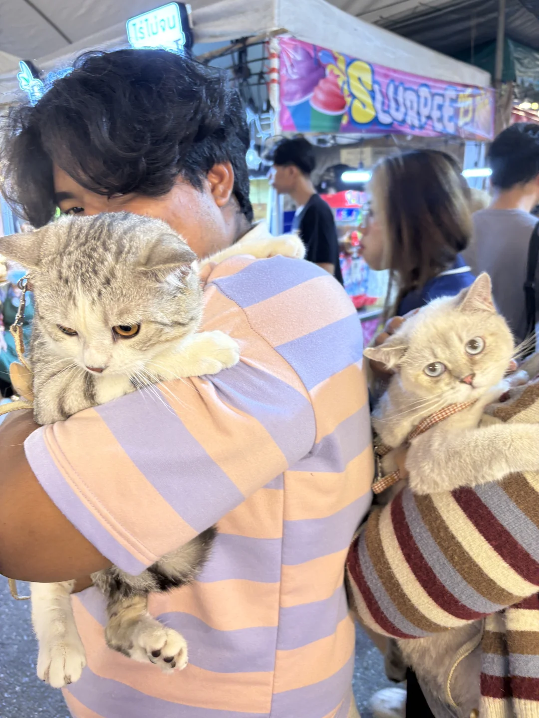 斯拉差农业博览会 ?????