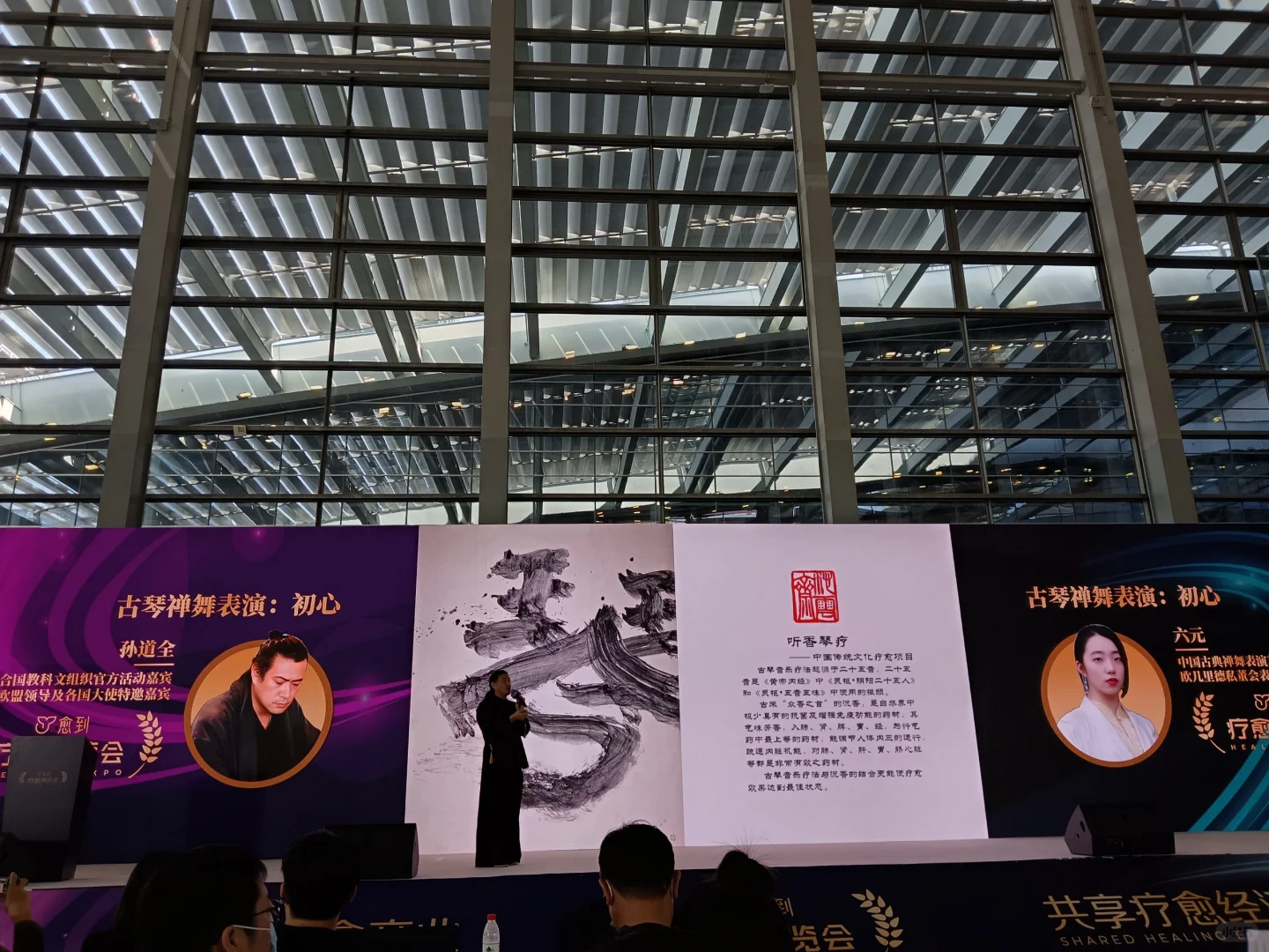 疗愈博览会第一天的参会感受(大咖篇)