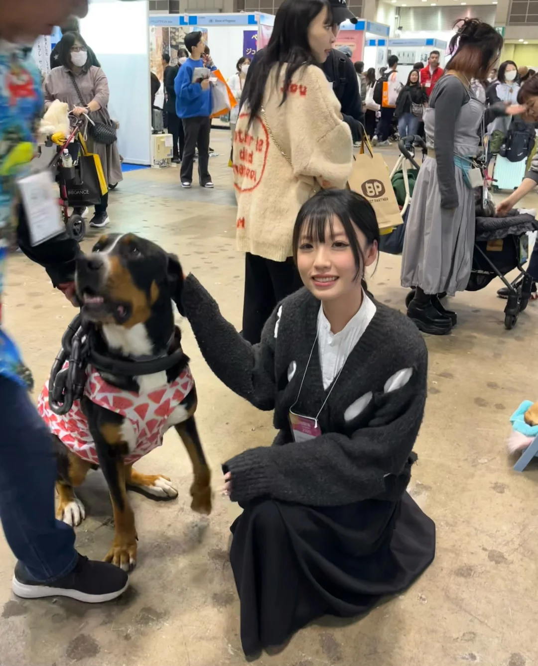 ??宠物展day4 展会翻译?