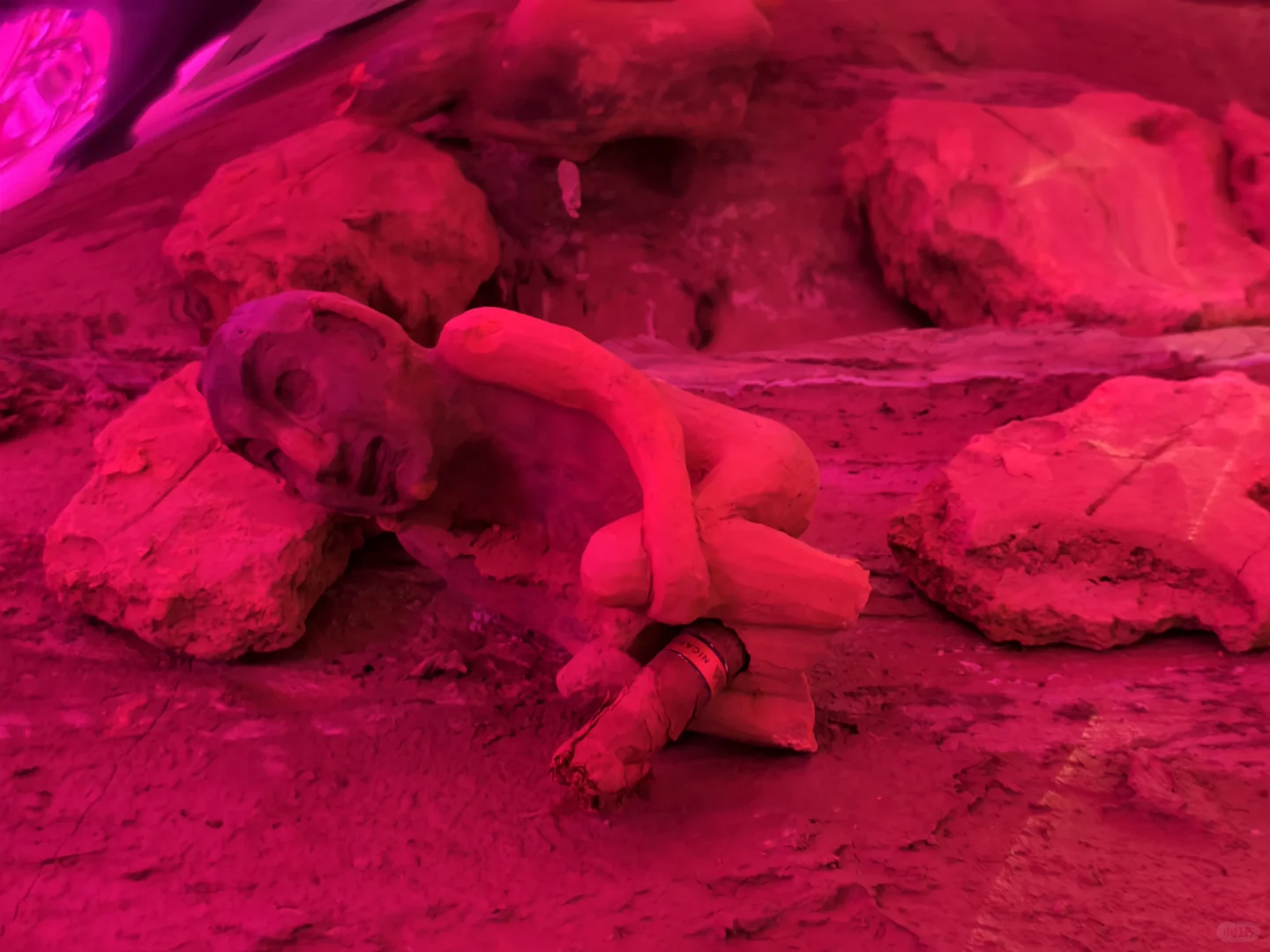 Preludia 1.2 : Candice Lin的民族志野心