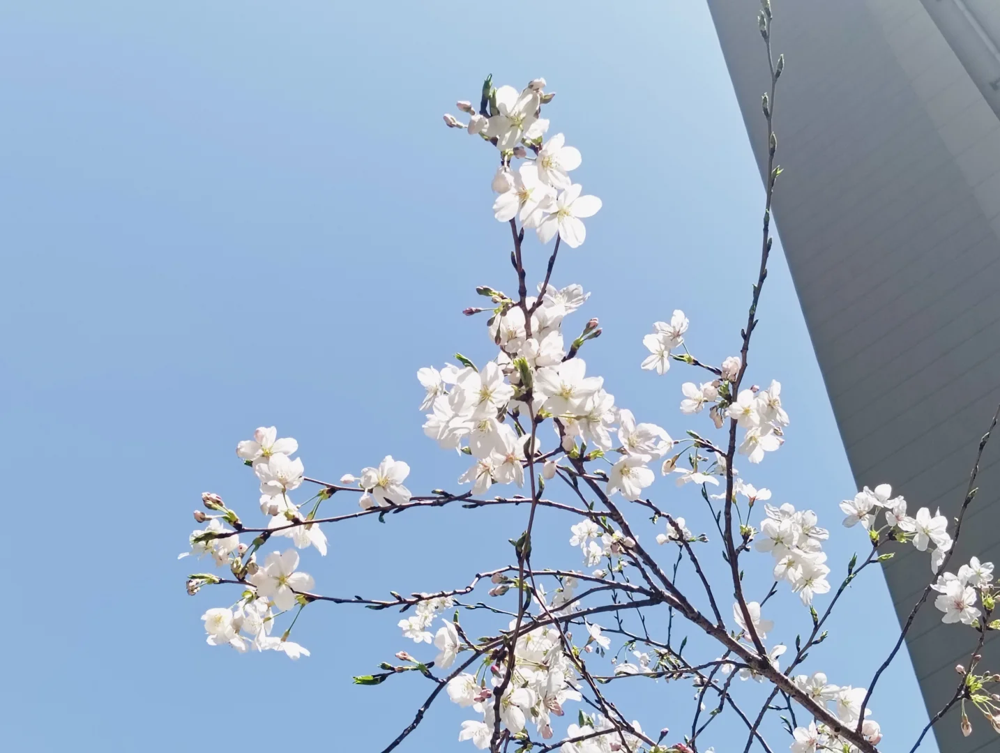 蓝色原创科技感展会展板设计，新鲜出炉啦