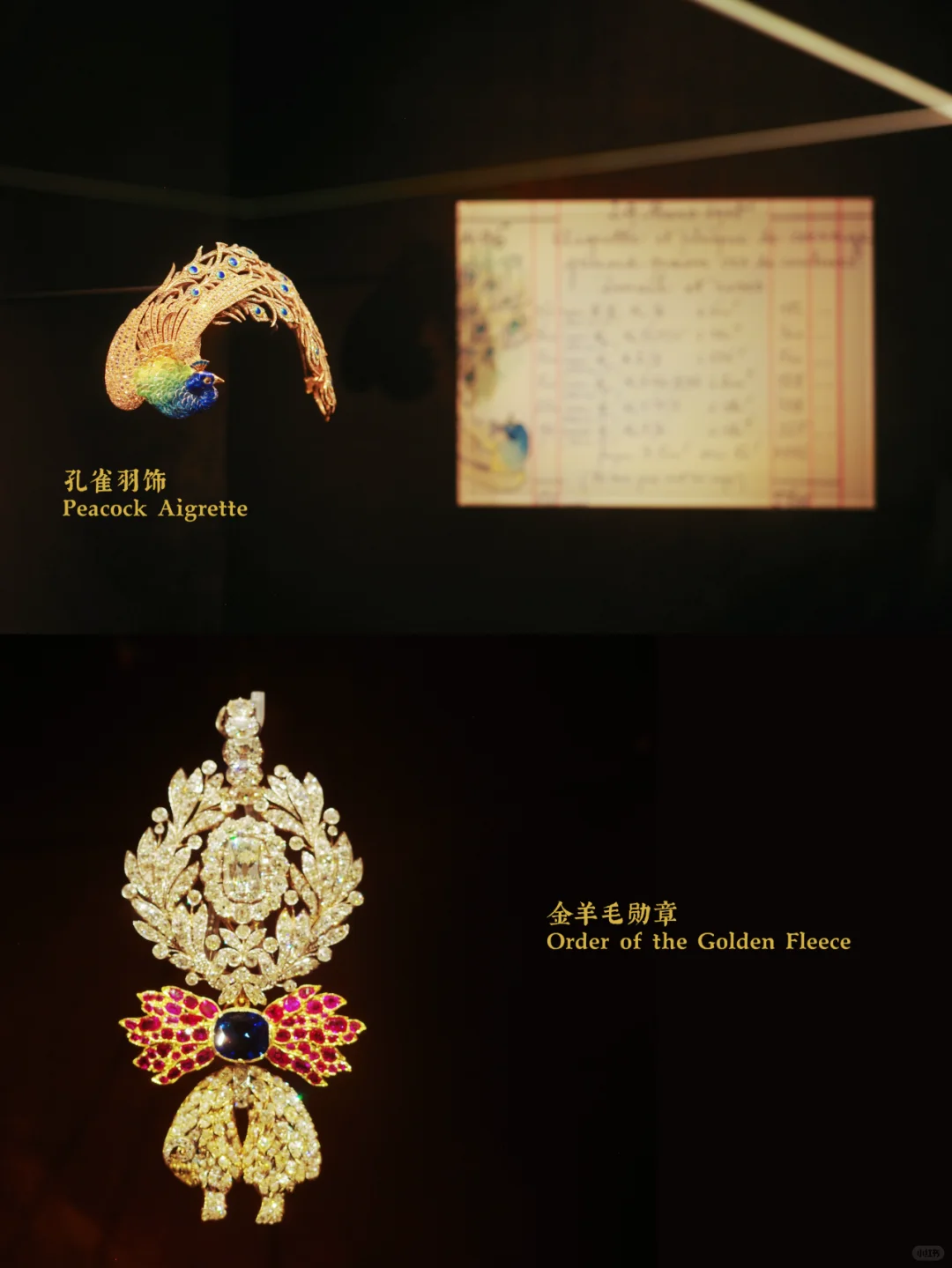 看完这个展感觉眼睛都更值钱了??