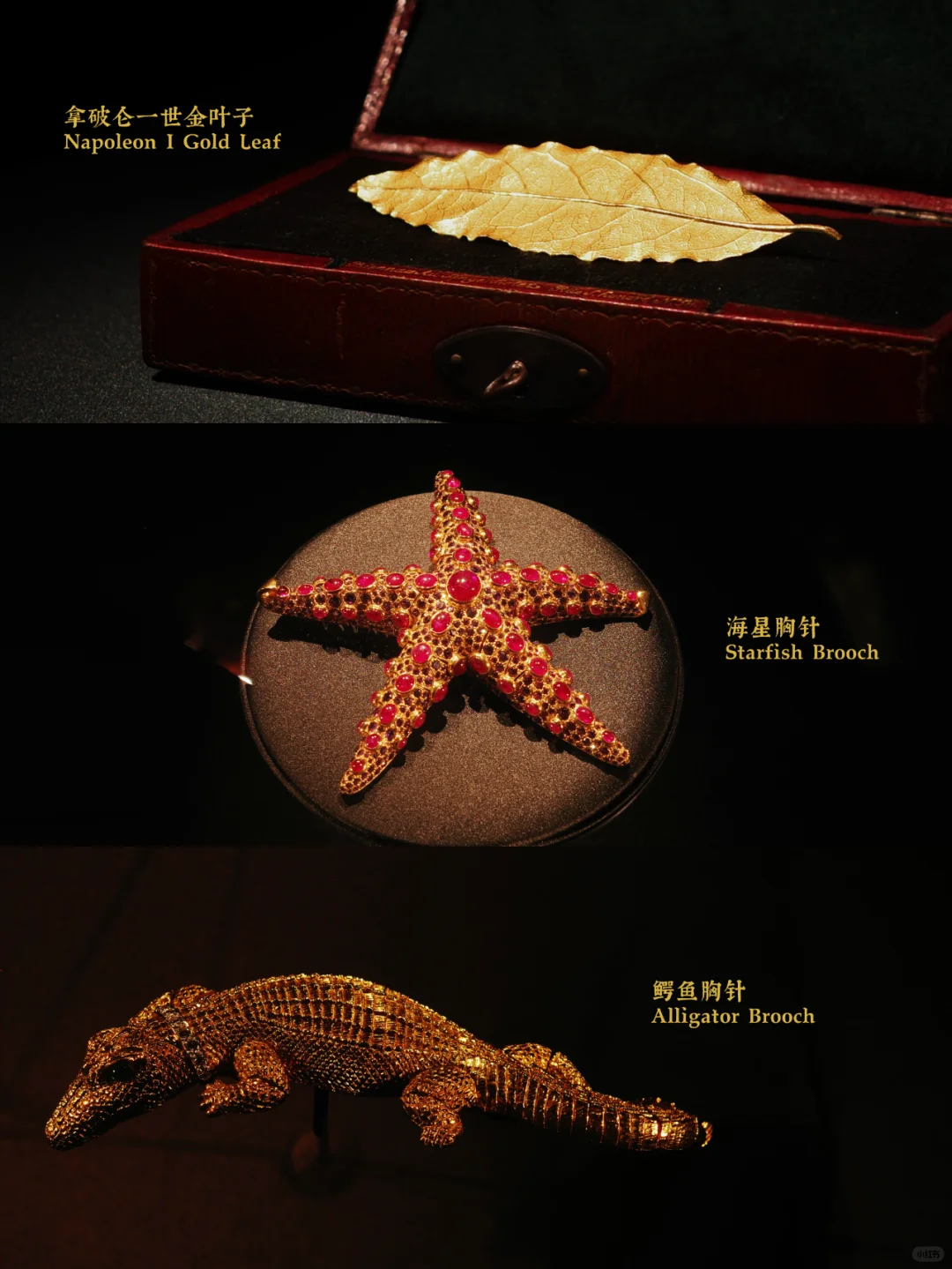 看完这个展感觉眼睛都更值钱了??