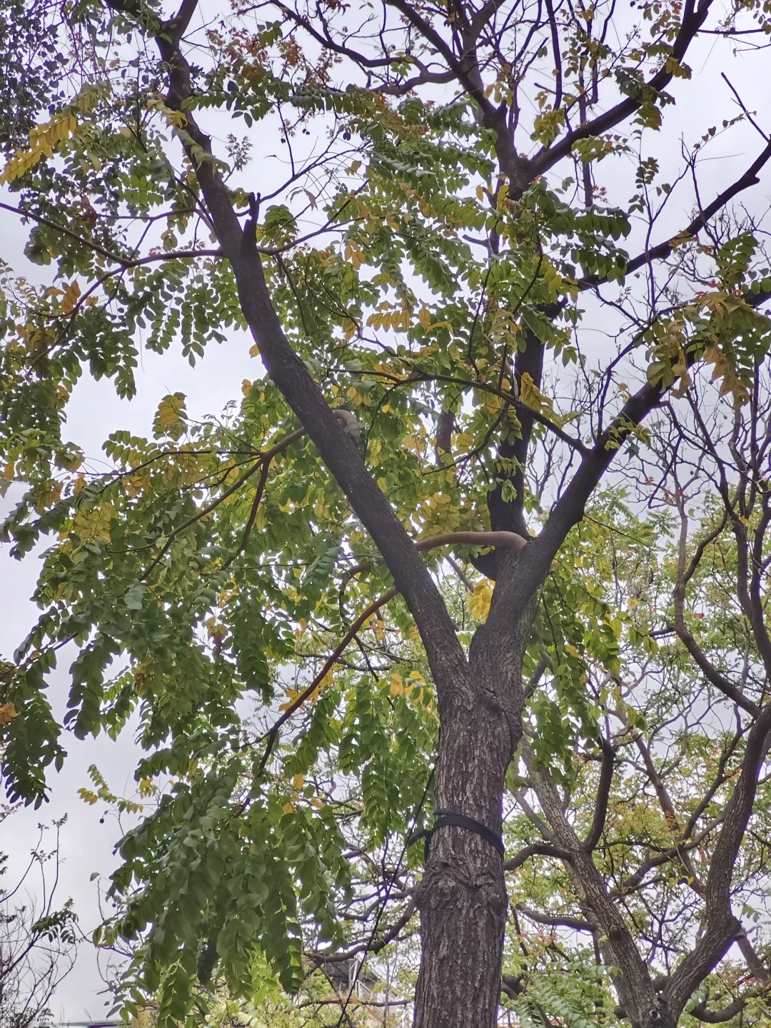 我发现这句话可以解决跟客户尬聊的问题