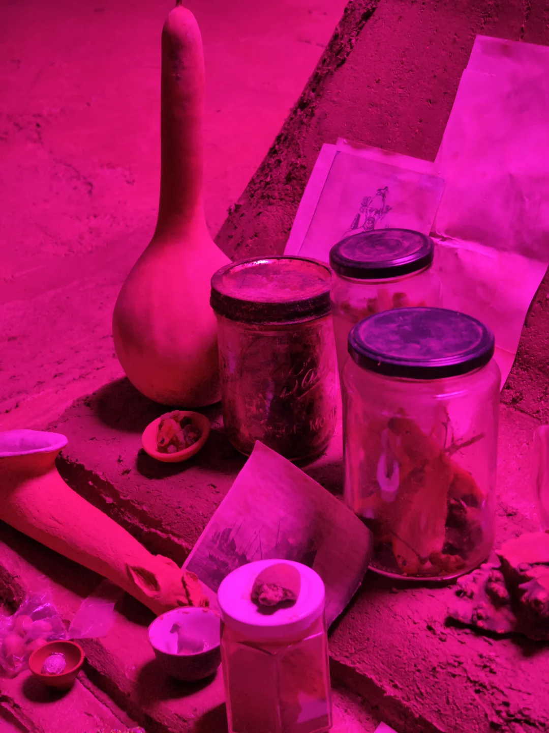 Preludia 1.2 : Candice Lin的民族志野心