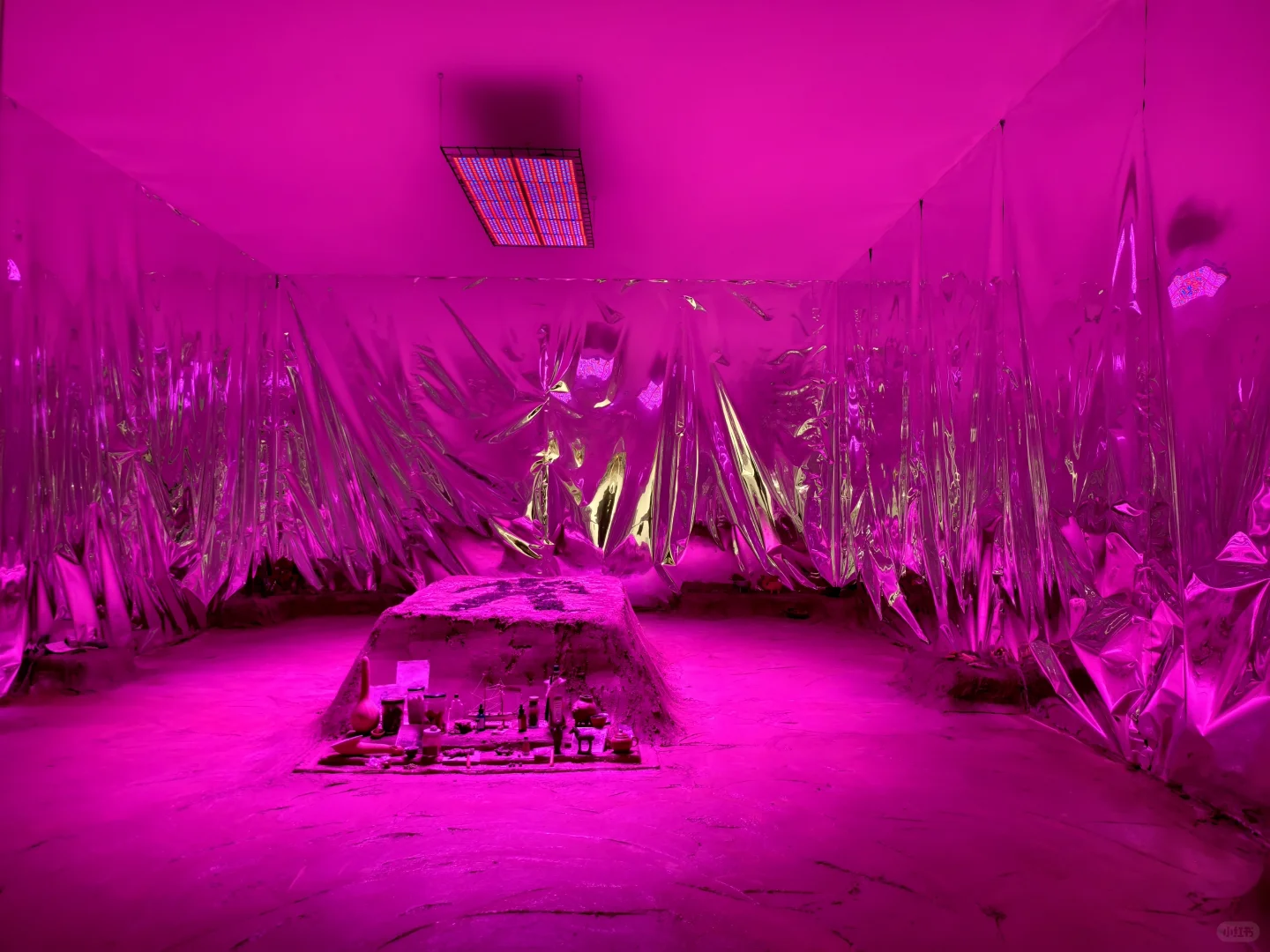 Preludia 1.2 : Candice Lin的民族志野心