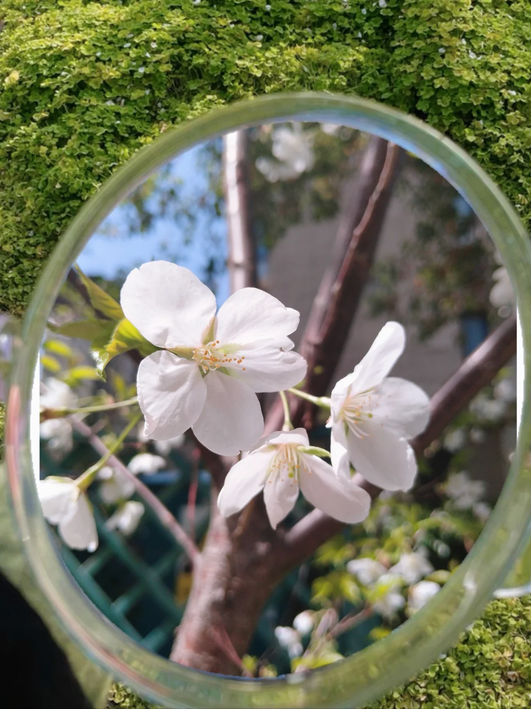 蓝色原创科技感展会展板设计，新鲜出炉啦