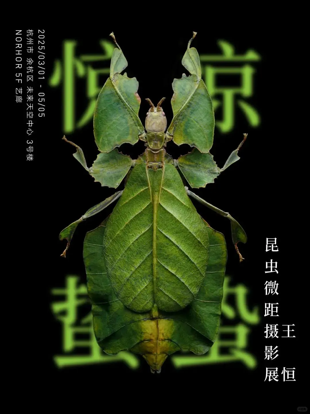 杭州4月必看新展?艺术含量超标！?