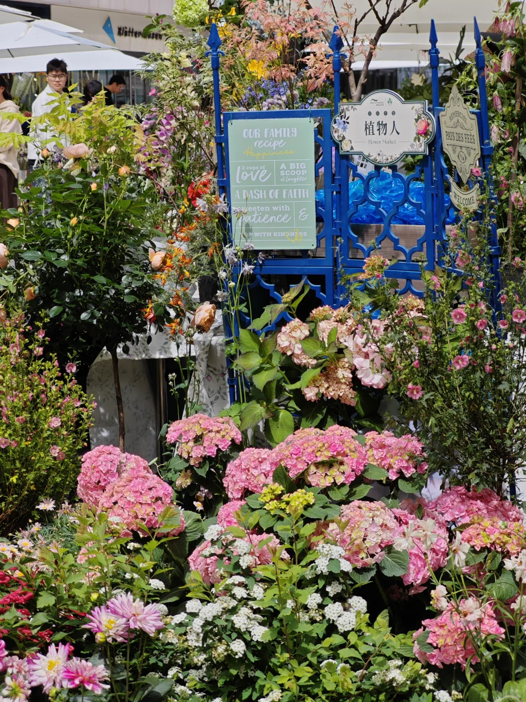 【2025春·花花市集】来咯?