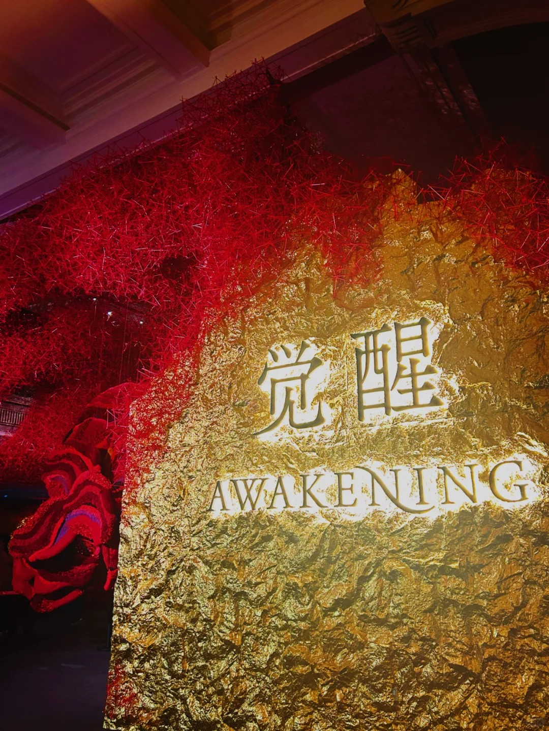 看完这个展感觉眼睛都更值钱了??