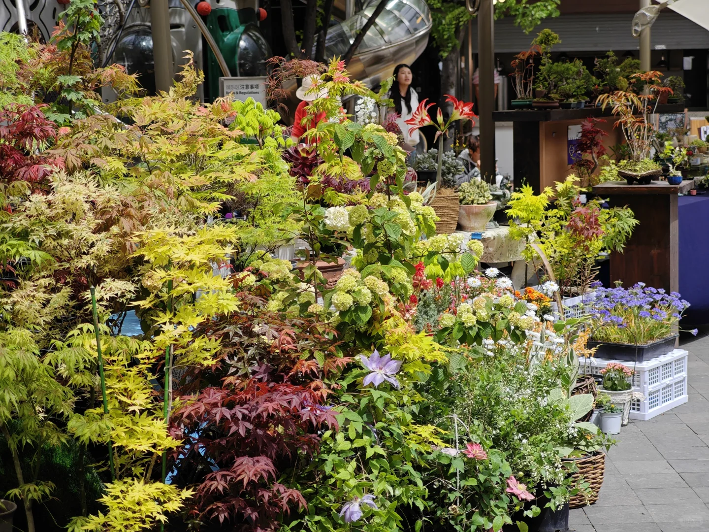 【2025春·花花市集】来咯?