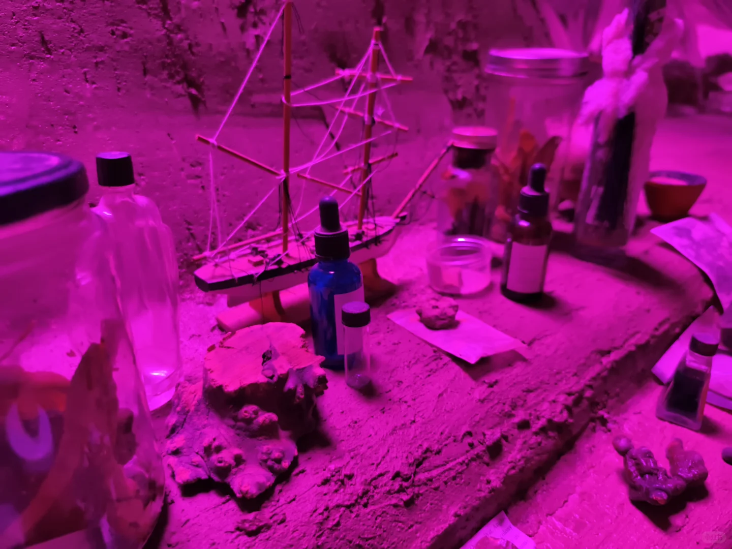 Preludia 1.2 : Candice Lin的民族志野心