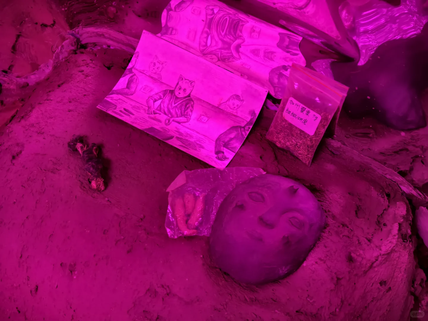 Preludia 1.2 : Candice Lin的民族志野心