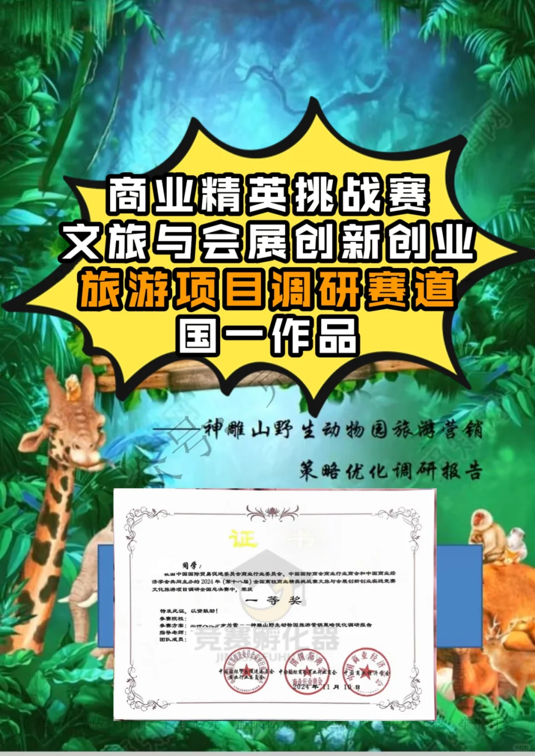 商挑 | 文旅会展 | 旅游项目调研 国一作品