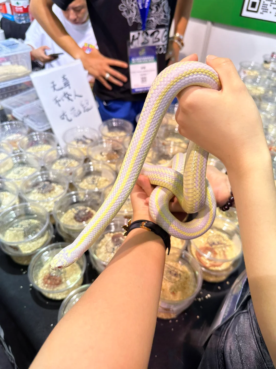 上海新国博 | 根本逛不完：亚洲宠物展览会