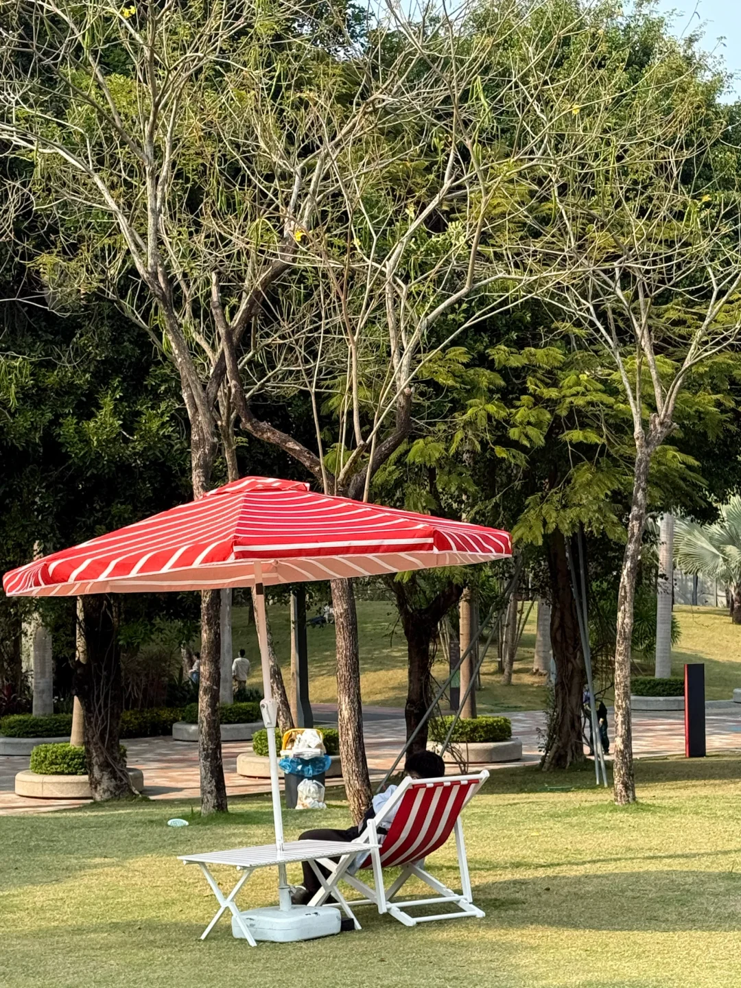 ?史努比新展来袭❗️深圳顶流预定❗️