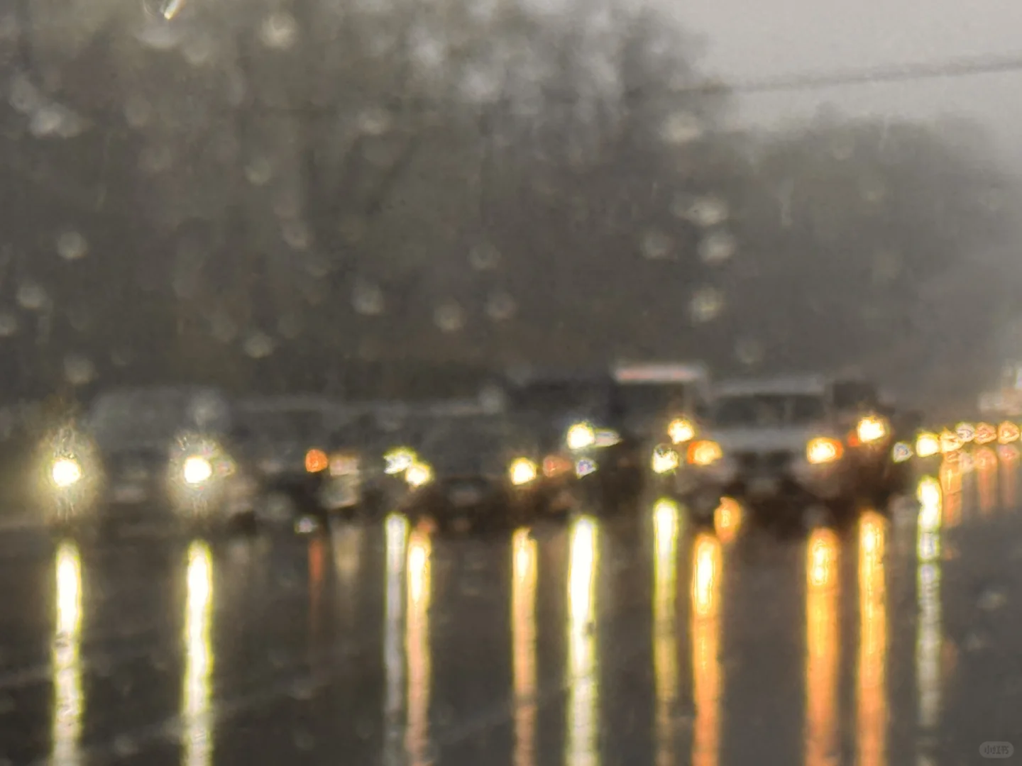 明天费城小企业博览会，同去同去