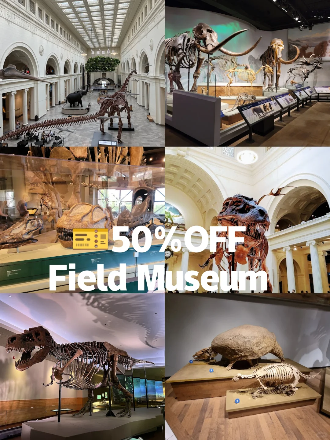 ?50％OFF 芝加哥Field Museum博物馆攻略