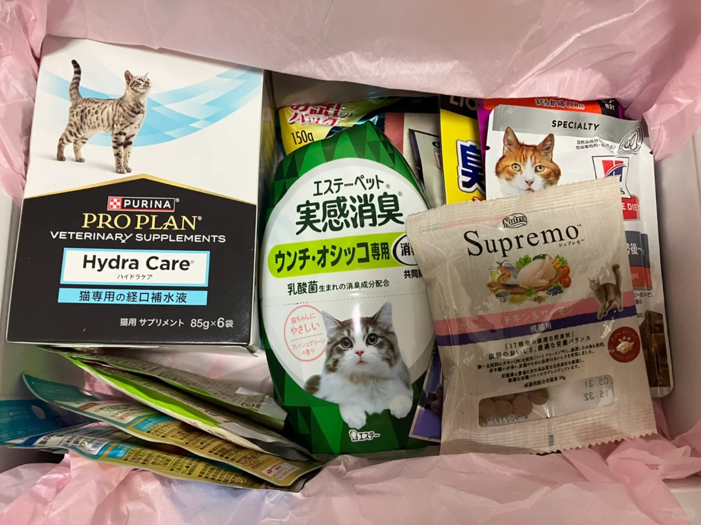 4/5东京宠物展览会战利品