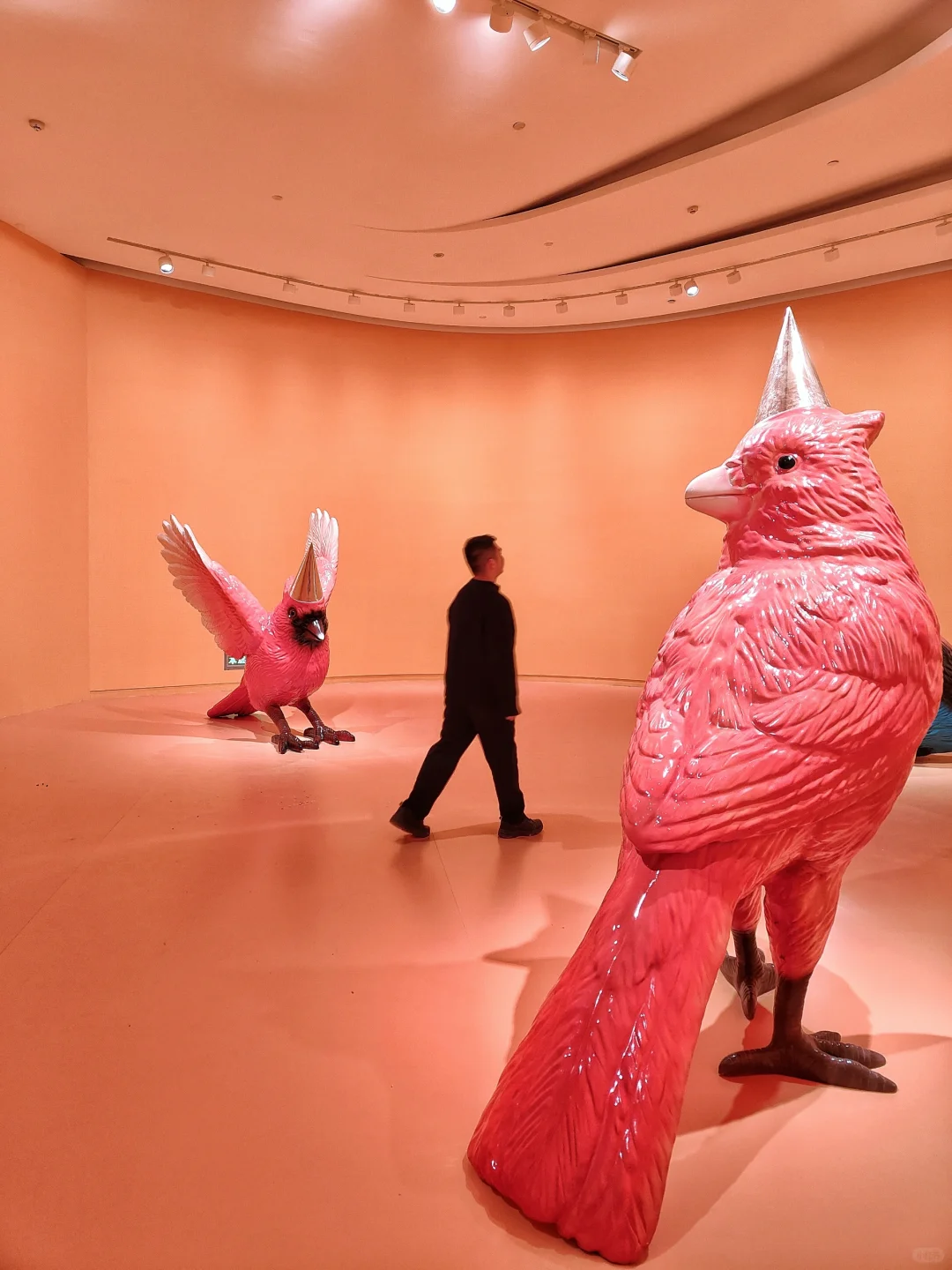 就在梅溪湖!目测长沙下一个爆?的新展!