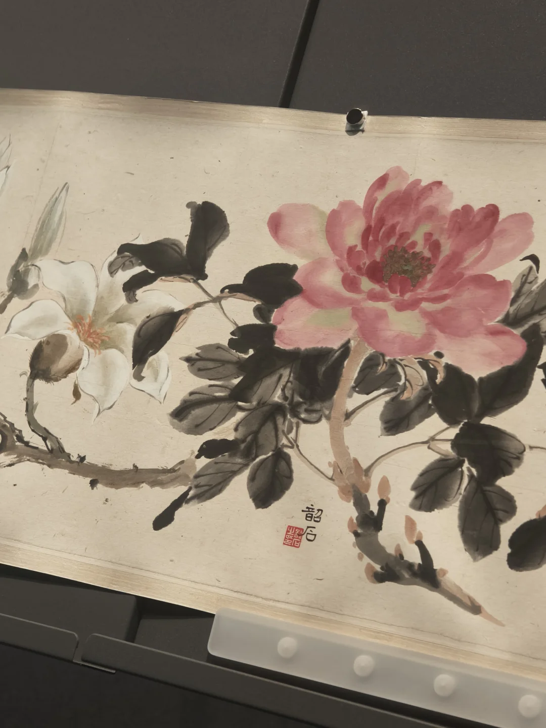 ?免费打卡艺术殿堂！出片率100%的广州艺术