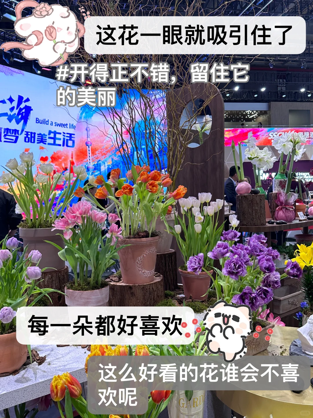 进博会｜抽离现在的生活去看看更大的世界