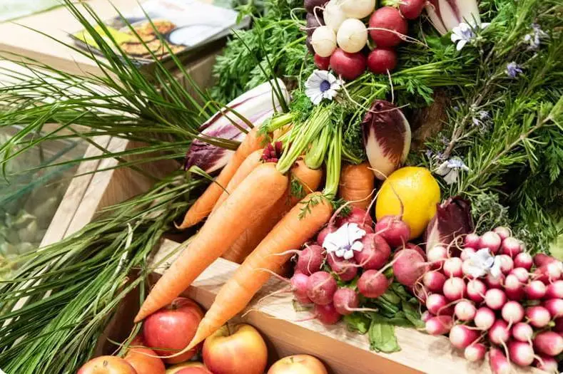 【盈拓展览】2025年法国巴黎国际农业展览会