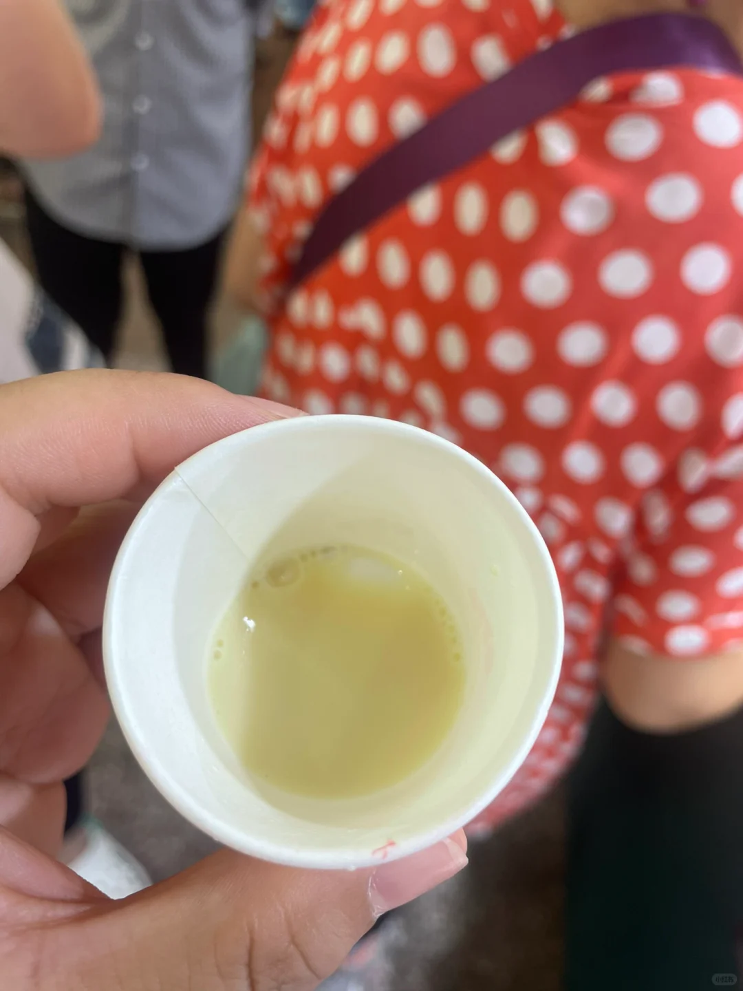 沈阳食博会薅羊毛，快去冲?