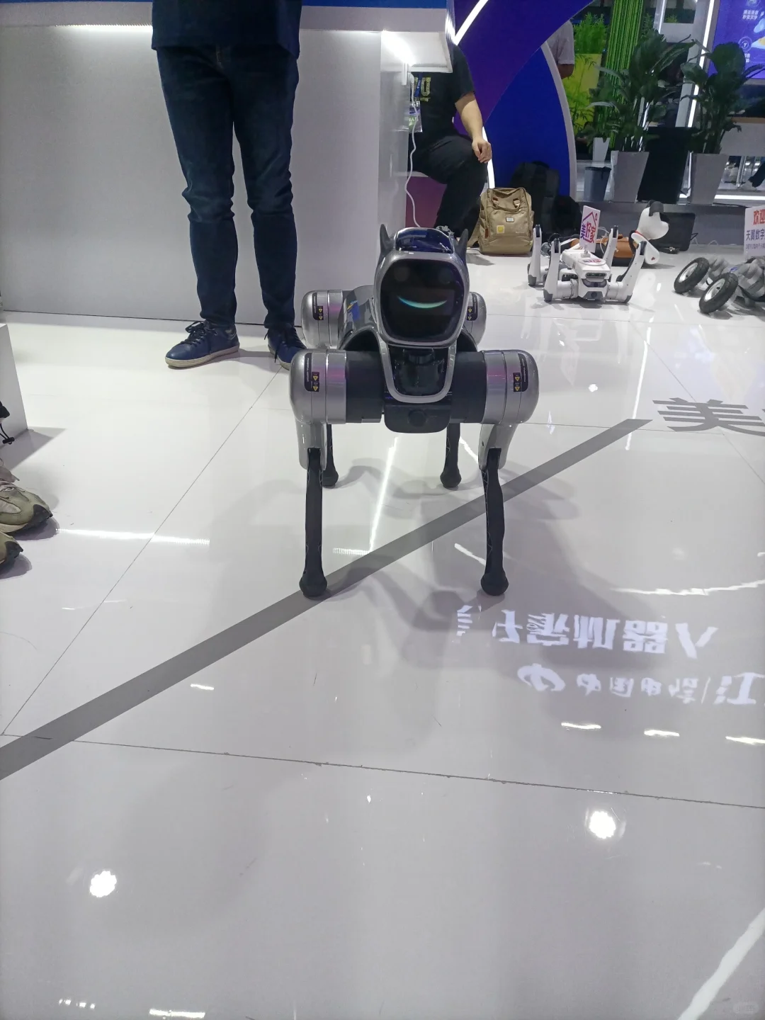 广交会数字科技生态大会