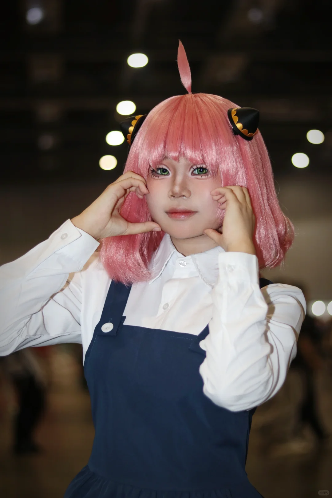 广电自由行申请 已满