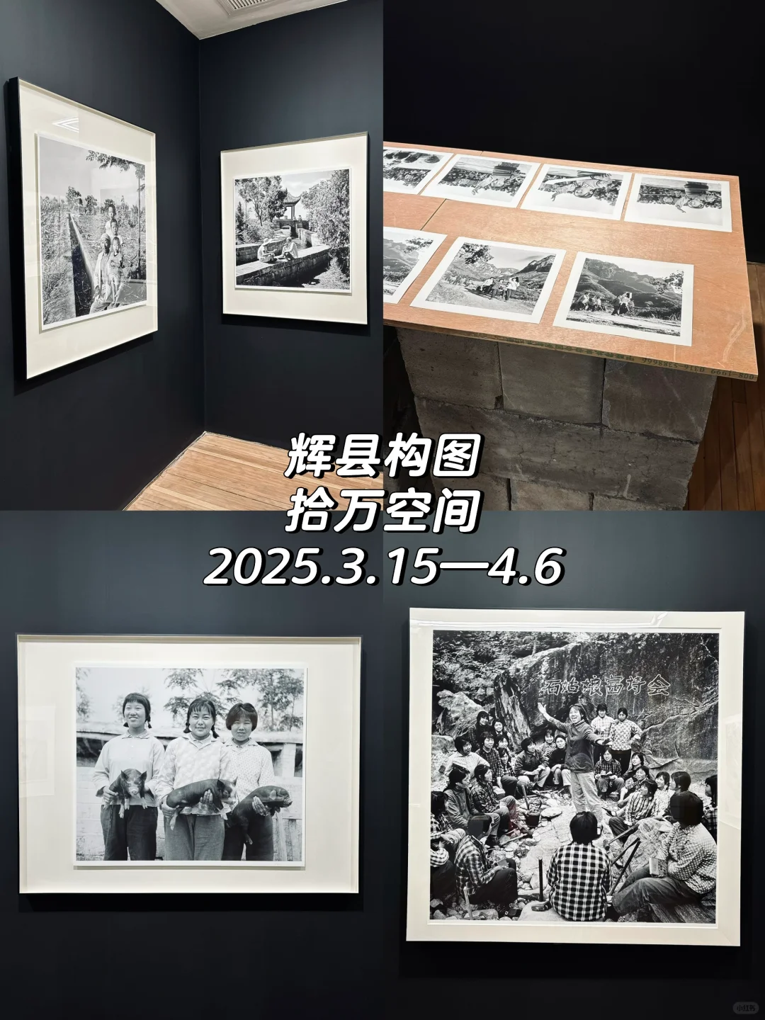 798四月免费展合集(?️附1小时速刷路线❗️)