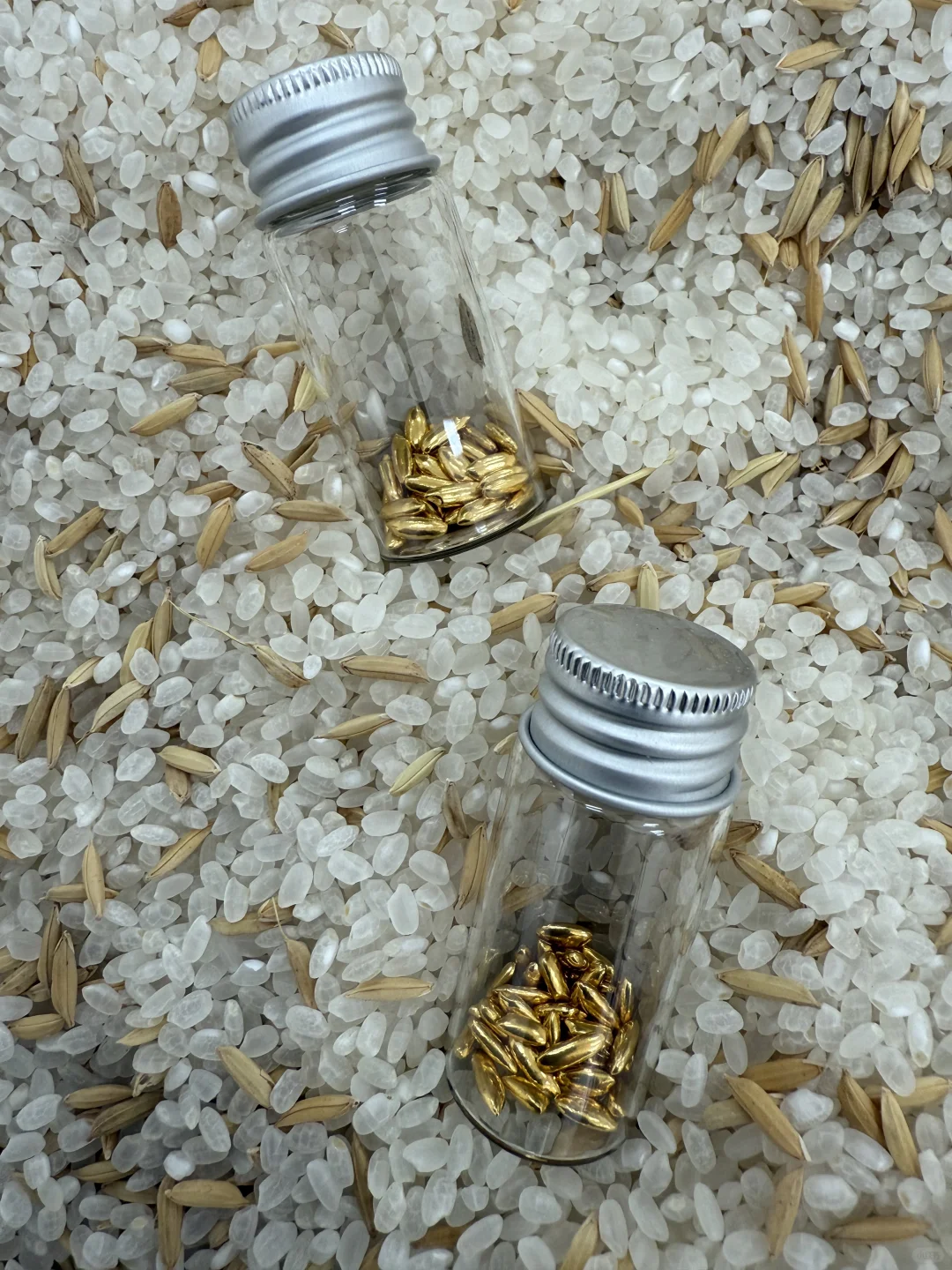 《淘金米》艺术展今天开幕，欢迎来玩！