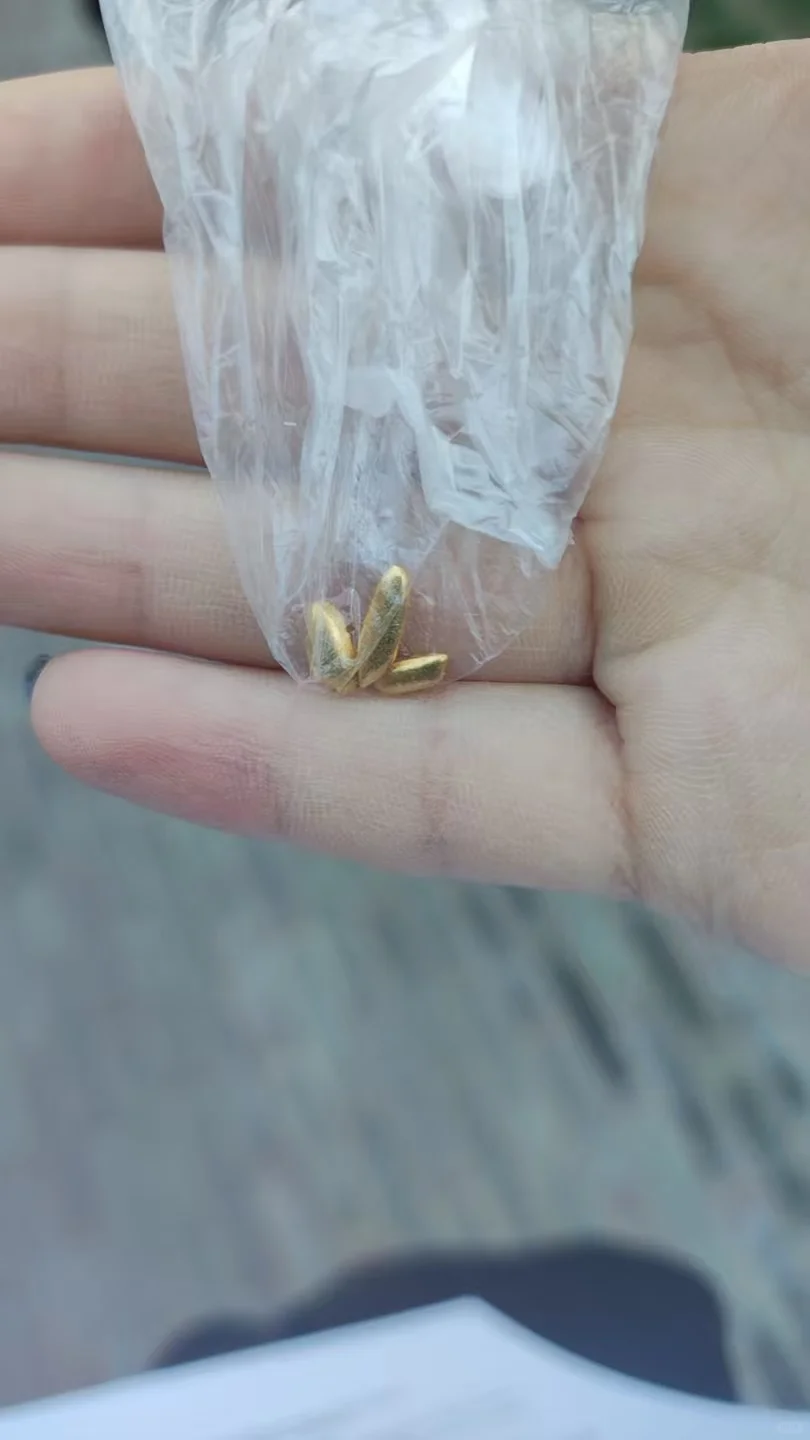 吓人！有人淘到了7颗金米≈2400RMB
