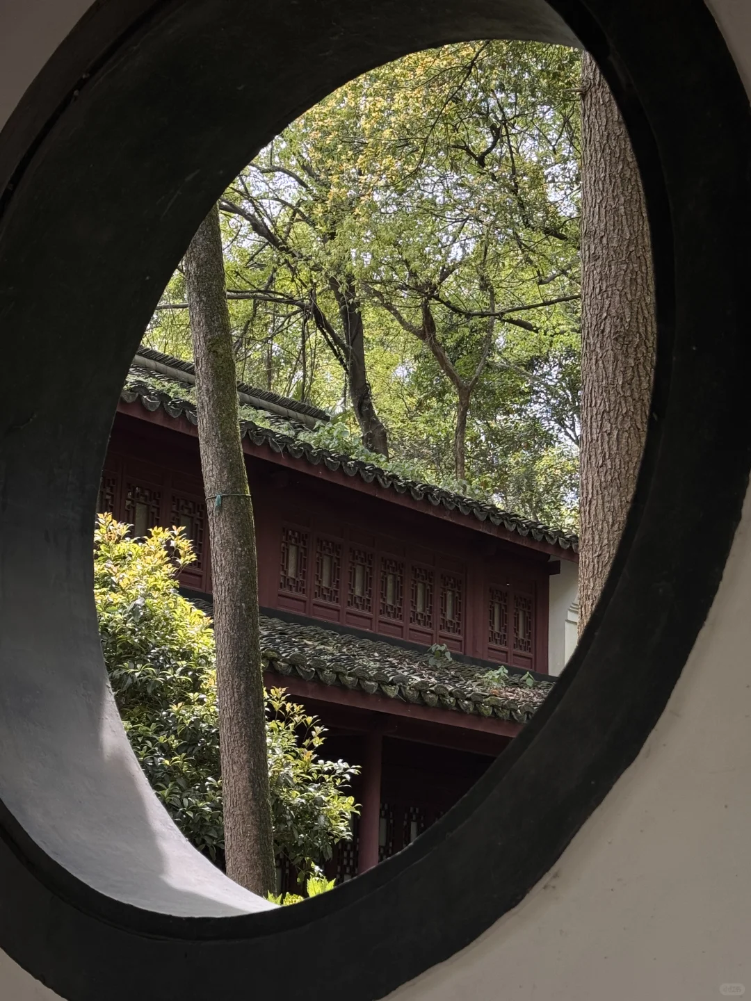 杭州人嘴真的严‼️这条小众路线太治愈了❗️