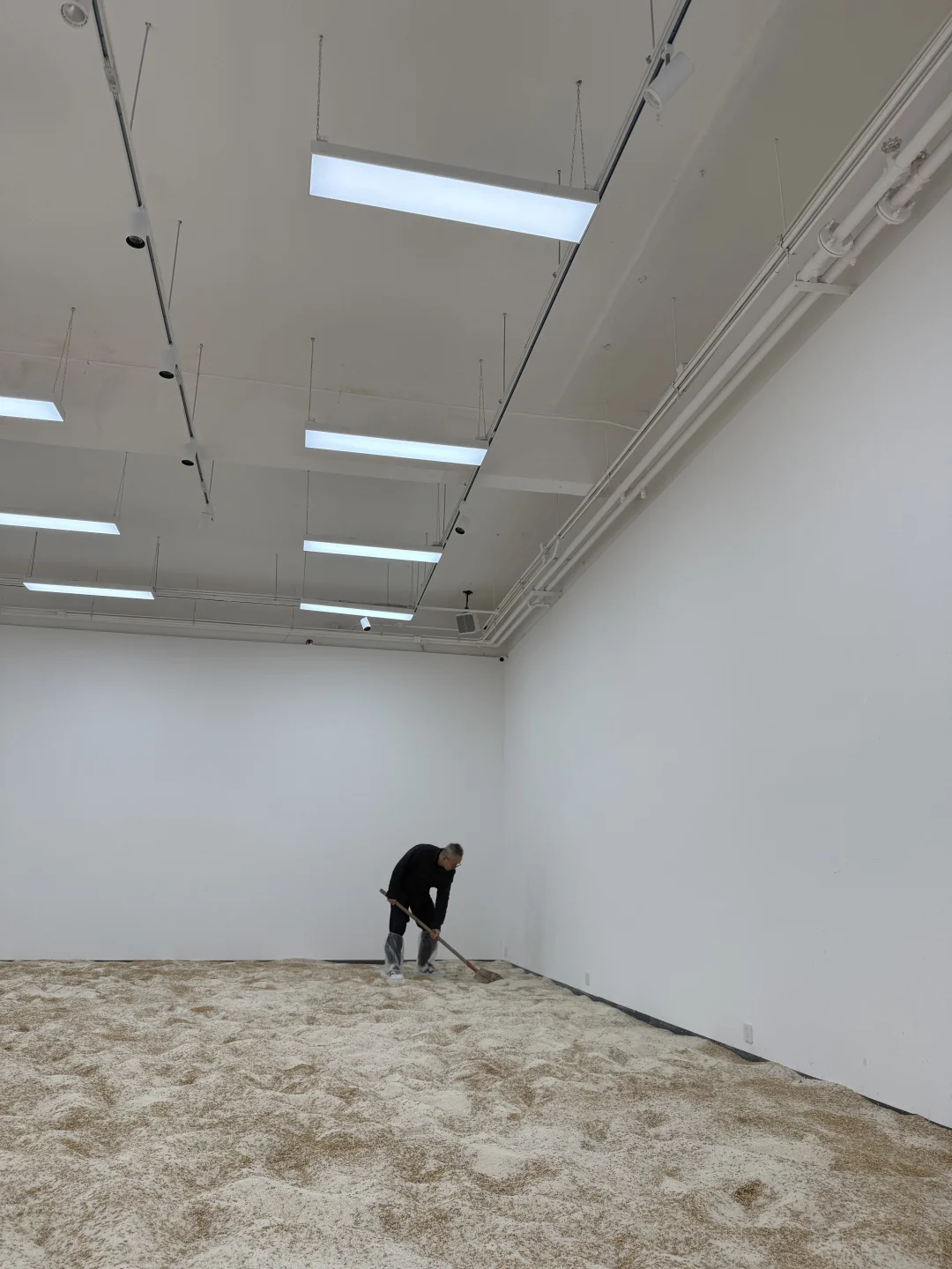 《淘金米》艺术展今天开幕，欢迎来玩！