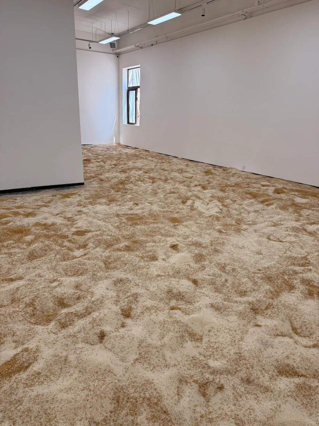 《淘金米》艺术展今天开幕，欢迎来玩！