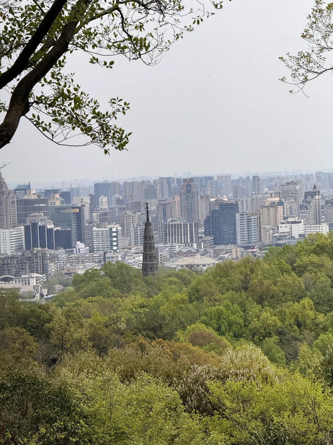 杭州人嘴真的严‼️这条小众路线太治愈了❗️