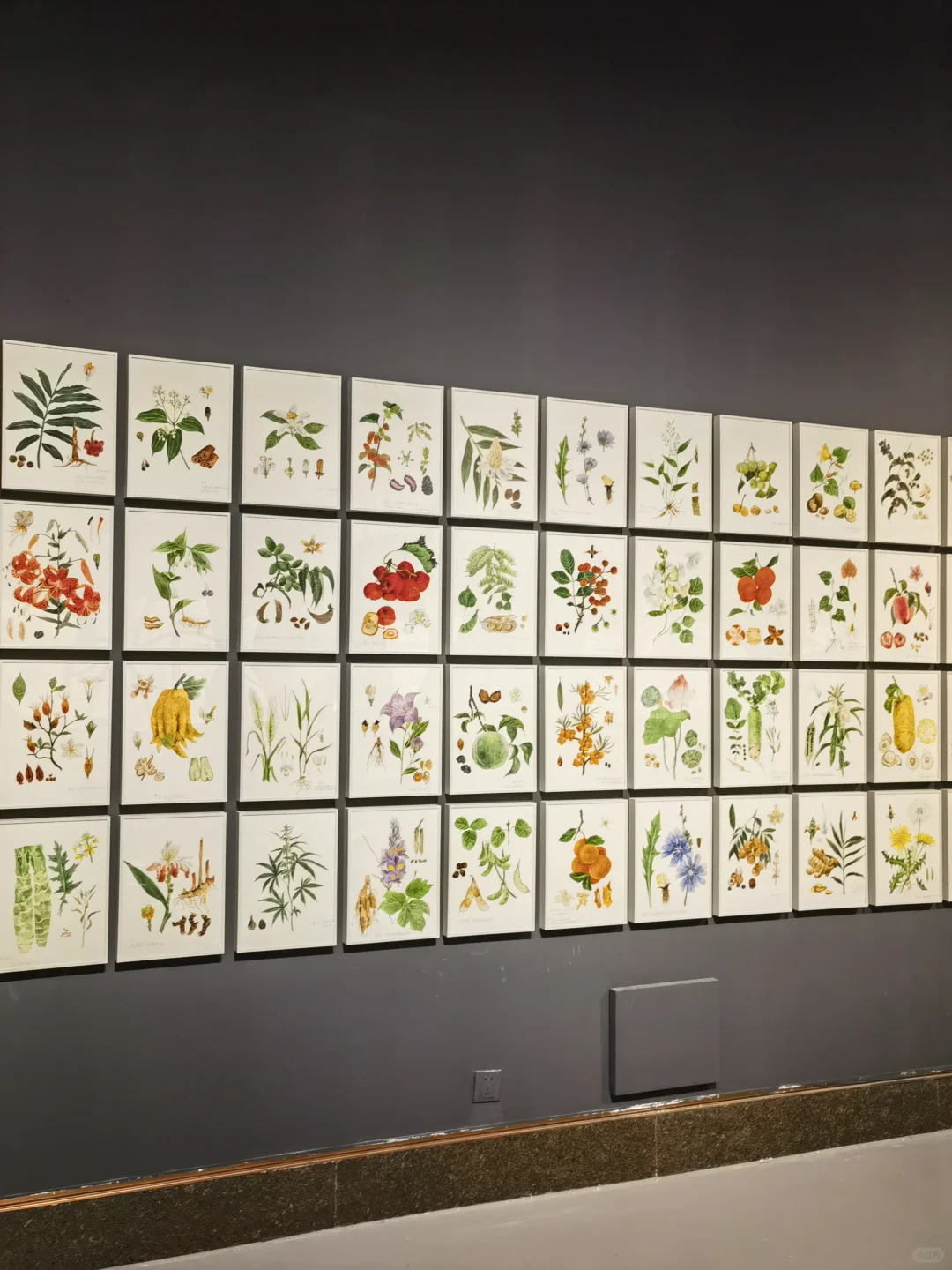 杭州免费新展?高质量全国手绘艺术大展！