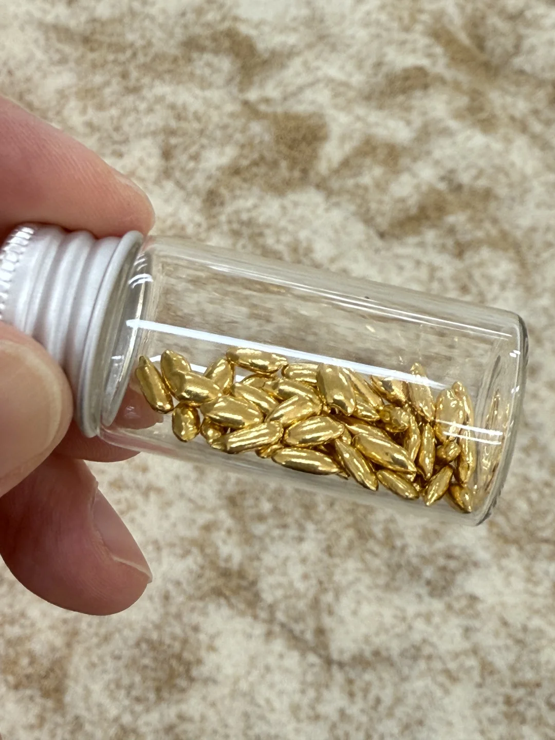 《淘金米》艺术展今天开幕，欢迎来玩！