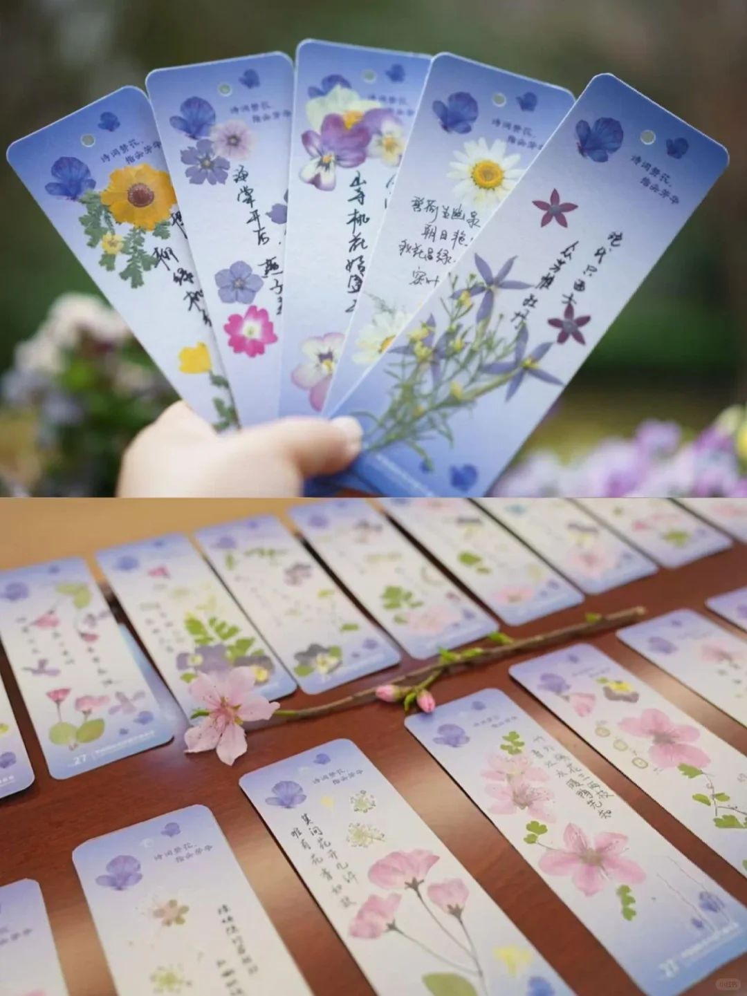 花花世界???上海花卉展等你来玩