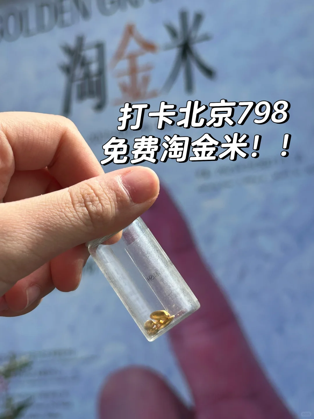 北京798淘金攻略！清明节速来！！！