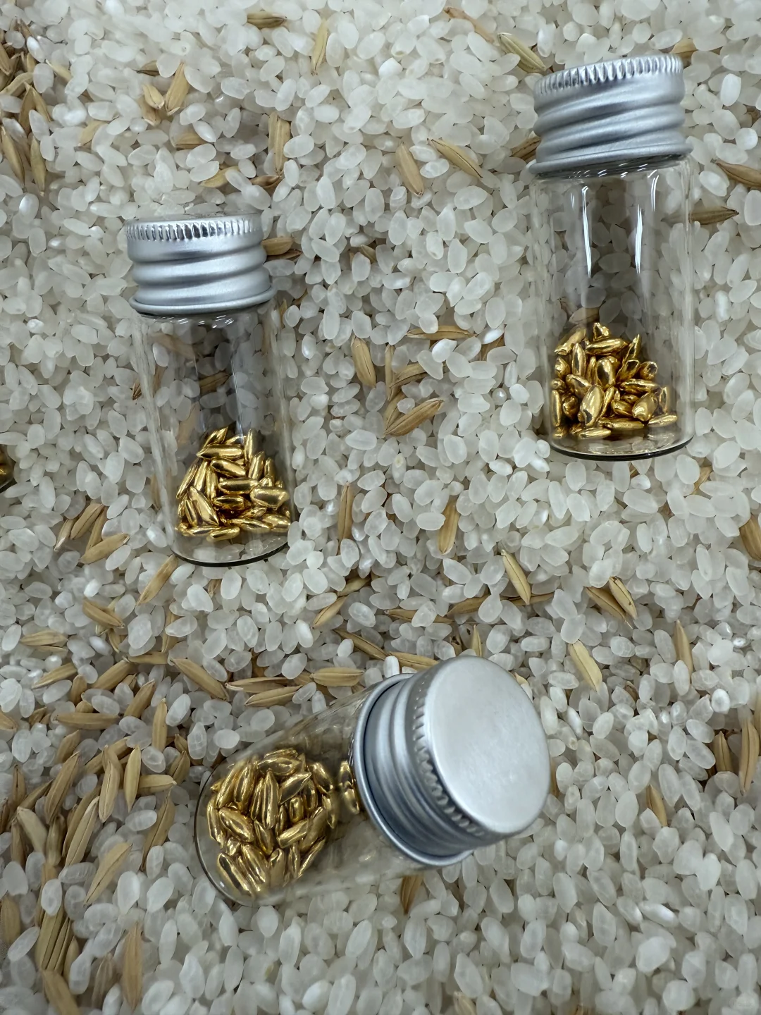 《淘金米》艺术展今天开幕，欢迎来玩！