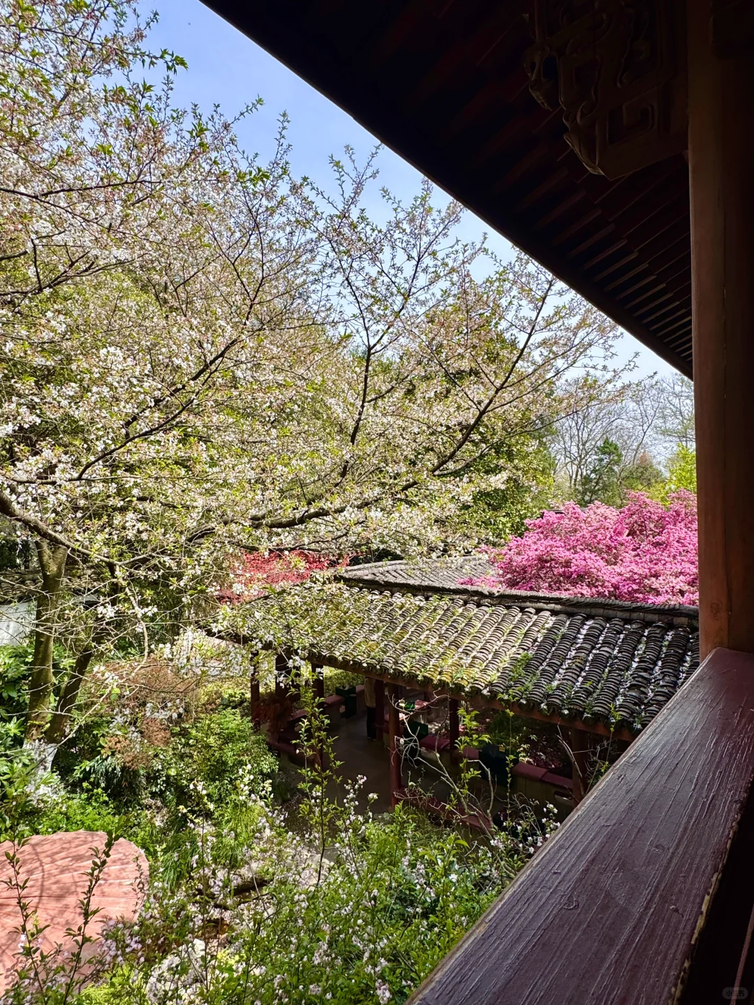 杭州人嘴真的严‼️这条小众路线太治愈了❗️