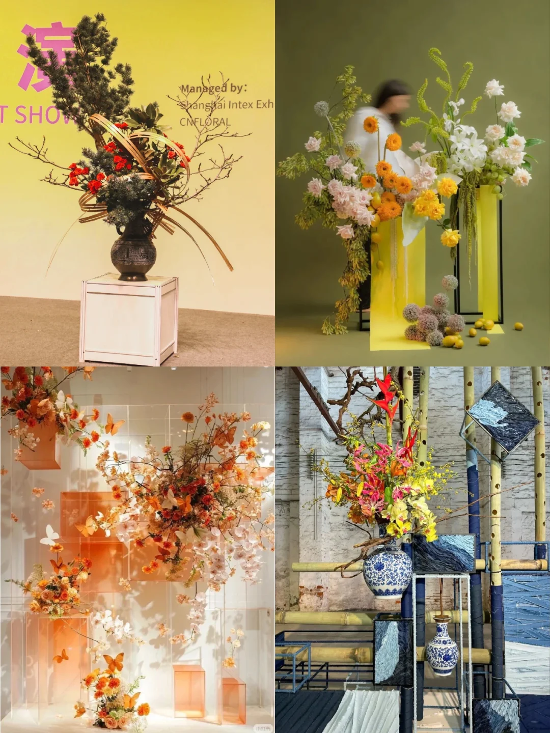 花花世界???上海花卉展等你来玩