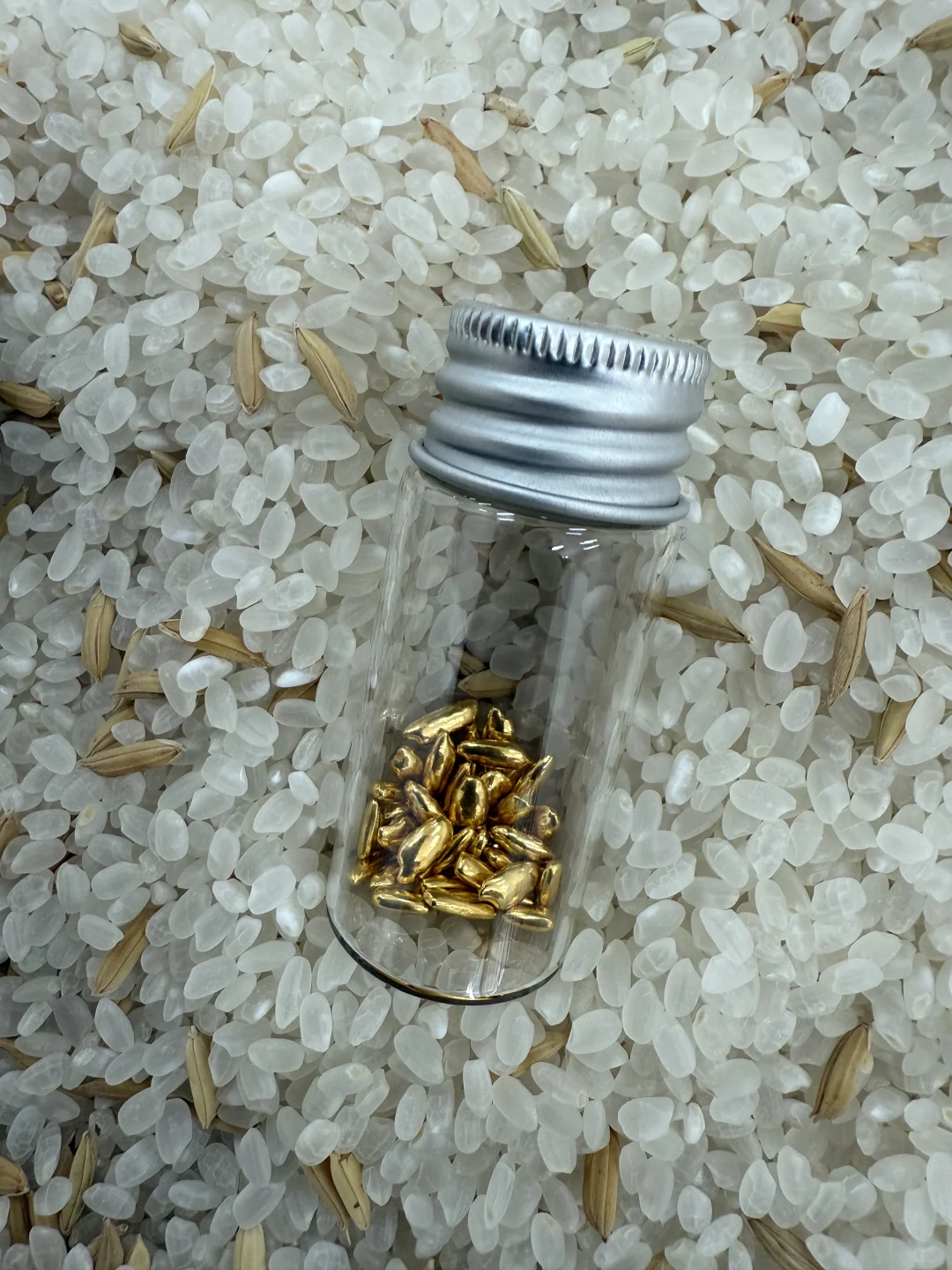 《淘金米》艺术展今天开幕，欢迎来玩！