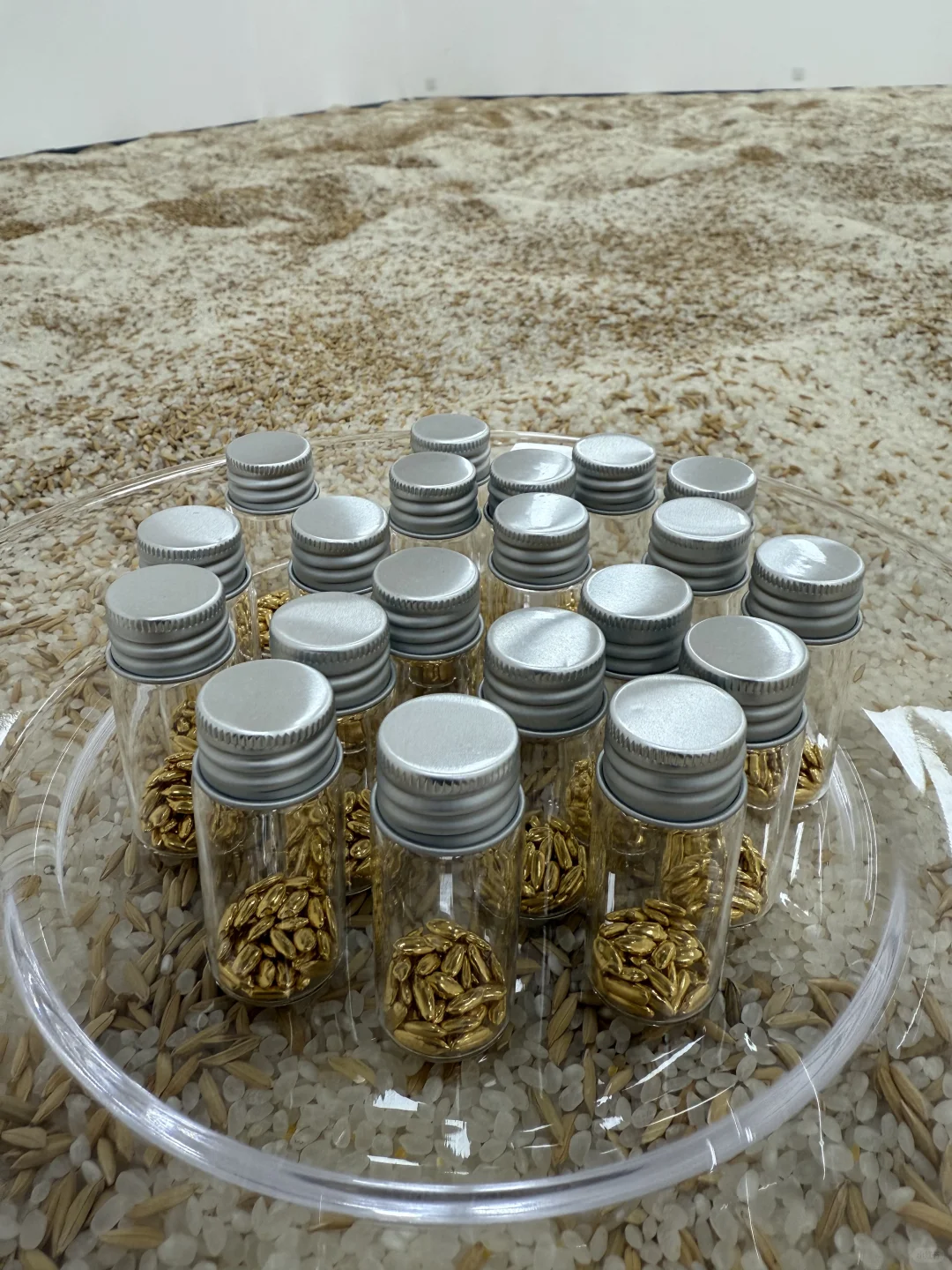 《淘金米》艺术展今天开幕，欢迎来玩！