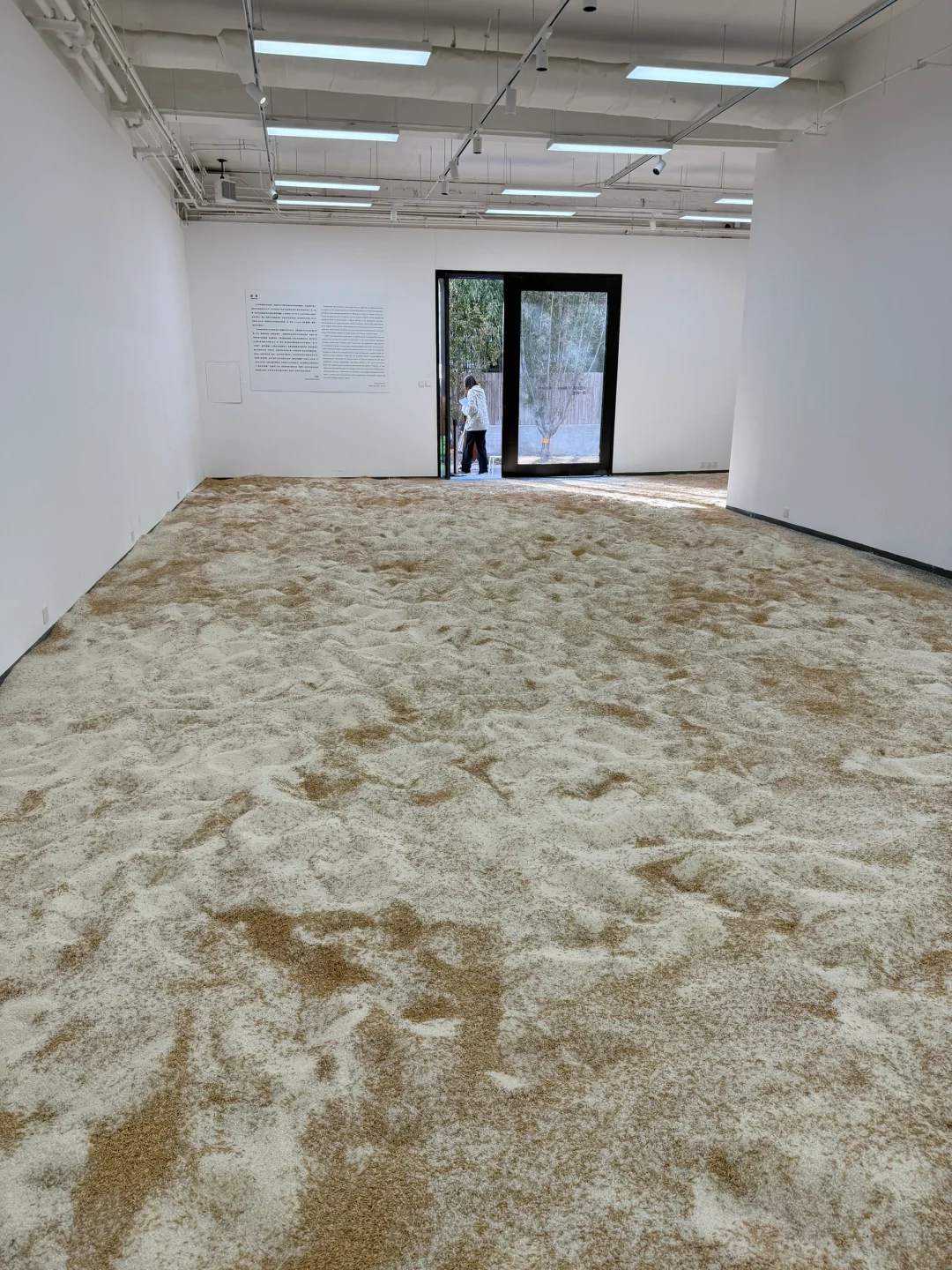 《淘金米》艺术展今天开幕，欢迎来玩！